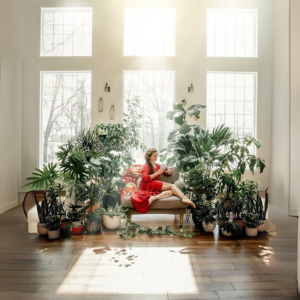 Catégorie : Plantes Décoratives