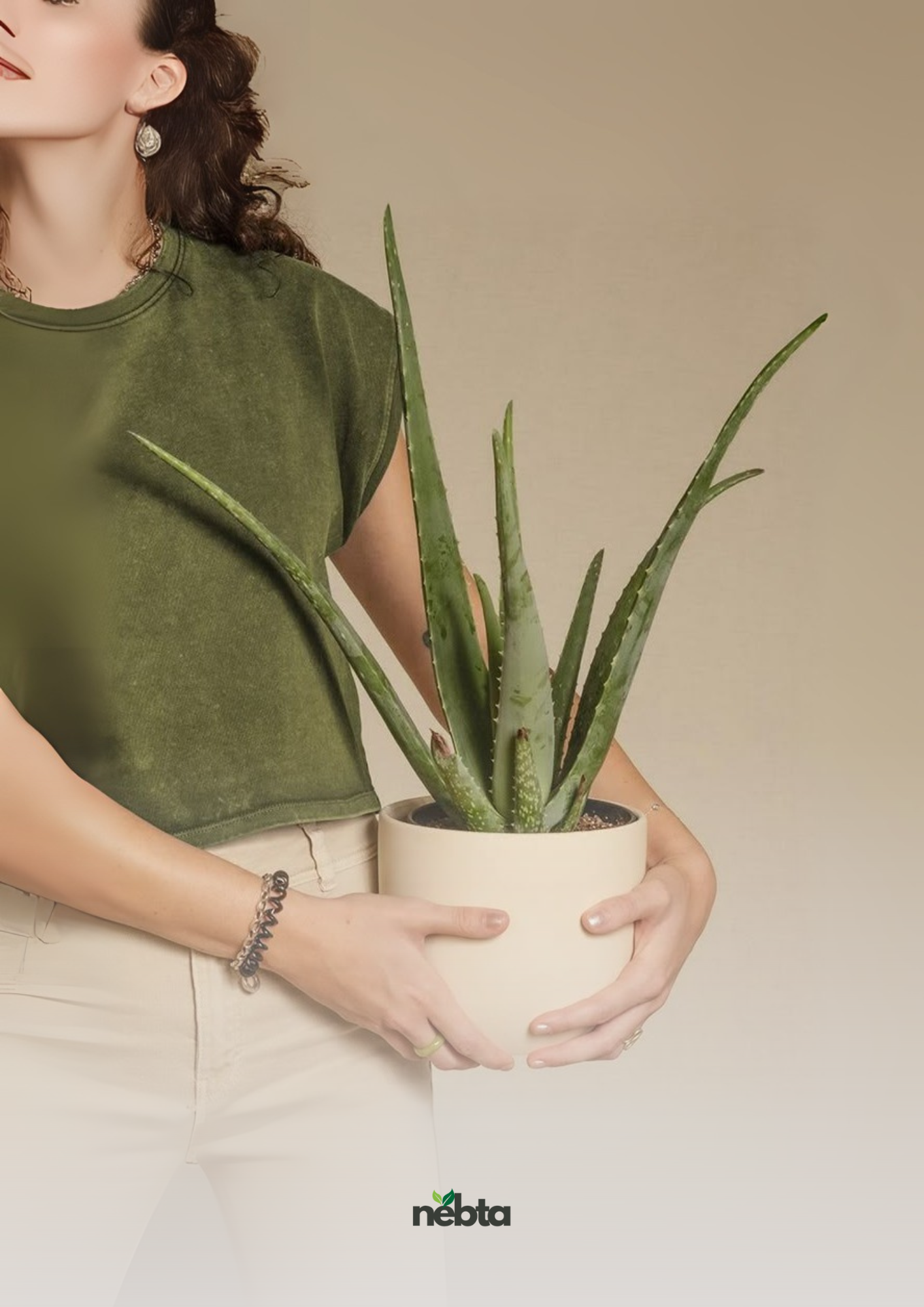 Aloe vera (صَبَار الألوة)
