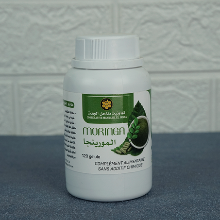 المورينجا-Moringa