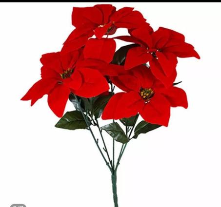 وردة بنت القنصل