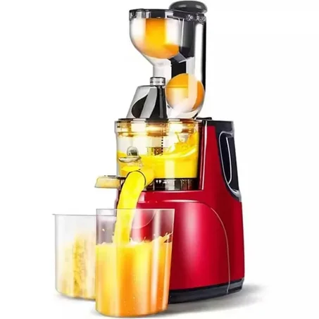 EXTRACTEUR DE JUS LENT JS-601 – 1000W