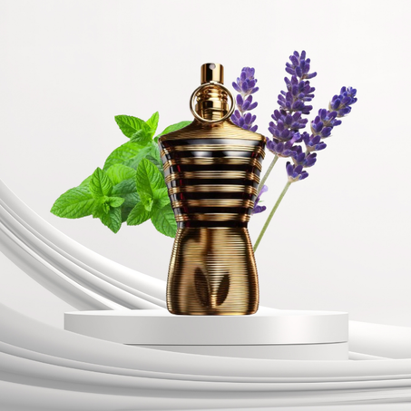 jpg elixir  10ML