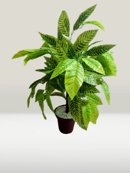 الأشجار الصغيرة