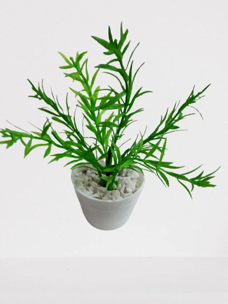 أصيص صغير بخضرة