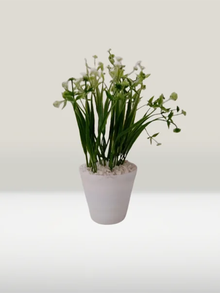 أصيص متوسط بورود صغيرة