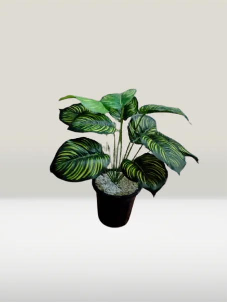 شجرة صغيرة بوريقات