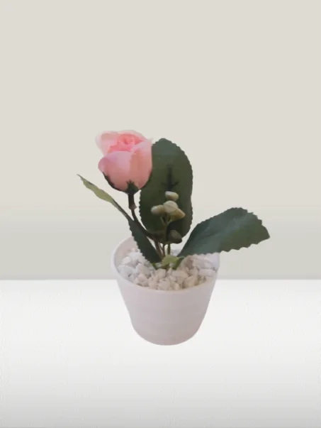 أصيص صغير بوردة