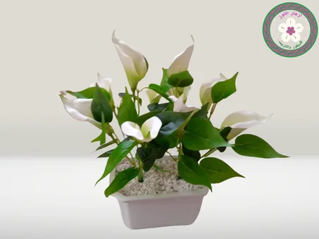 أصيص كبير بورود