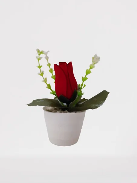 أصيص صغير بوردة حمراء