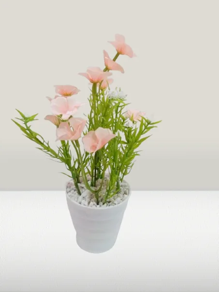 أصيص متوسط بورود