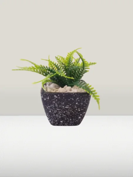 أصيص صغير بخضرة