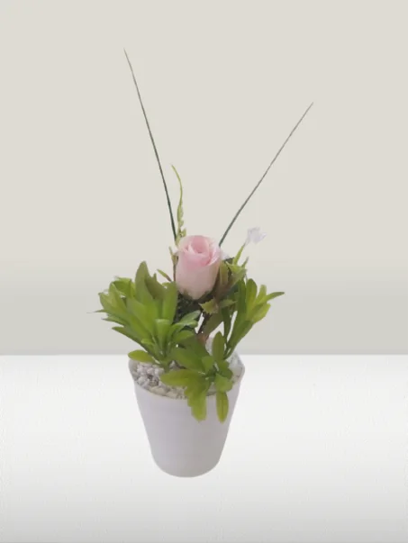 أصيص متوسط بورود