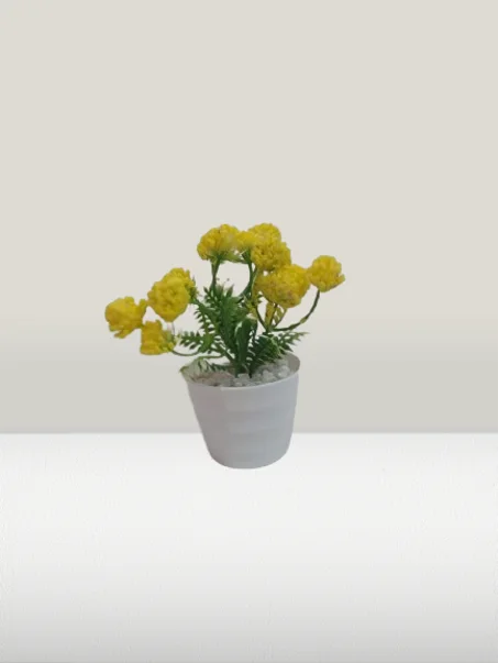 أصيص متوسط بوريدات دائرية