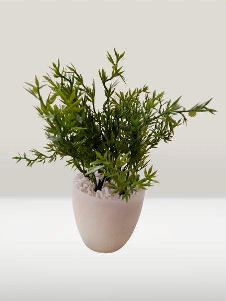 أصيص متوسط بخضرة