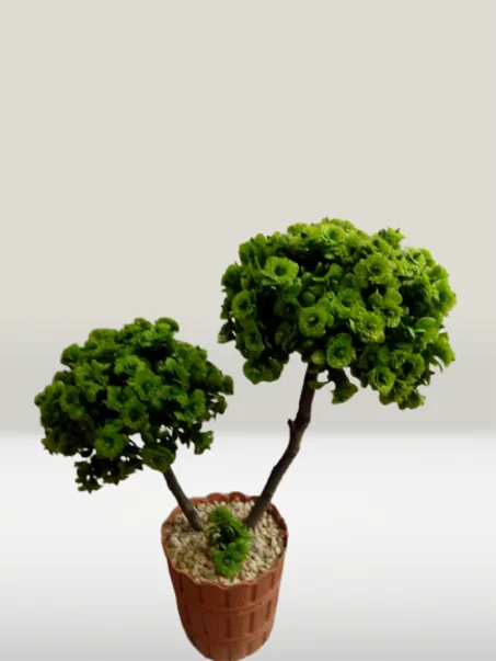 شجيرتان صغيرتان خضراوتان