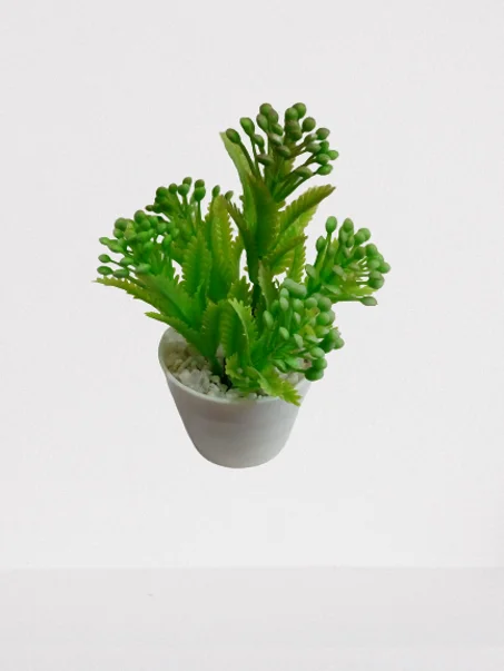 أصيص صغير بخضرة