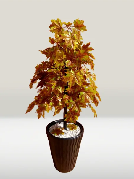 شجرة الخريف