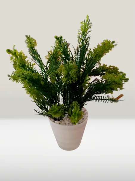 أصيص متوسط بخضرة