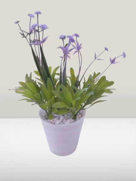 أصيص متوسط بوريدات ملونة