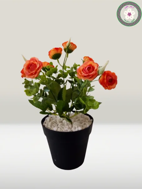 أصيص كبير بورود