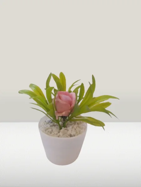 أصيص صغير بوردة