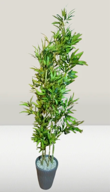 شجرة البامبو