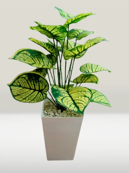 أشجار متوسطة بأوراق خضراء