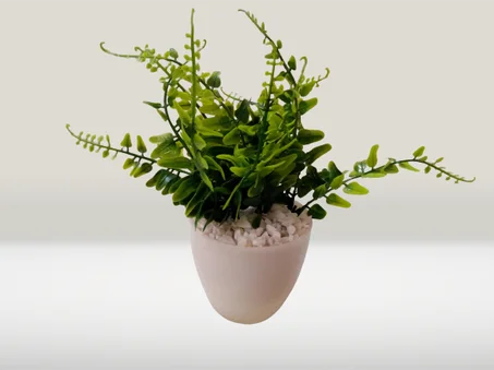 أصيص متوسط بخضرة