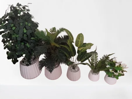 مجموعة أشجار تراتبية