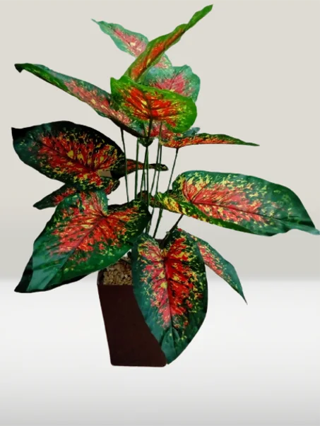 أشجار متوسطة بأوراق  خضراء-حمراء