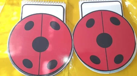Les Syllabaire coccinelle لتعلم القراءة