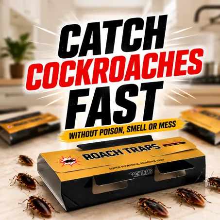 ROACH TRAPS