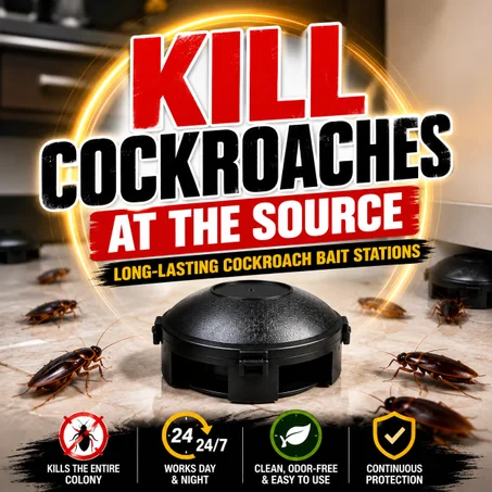 cockroaches trap killing bait