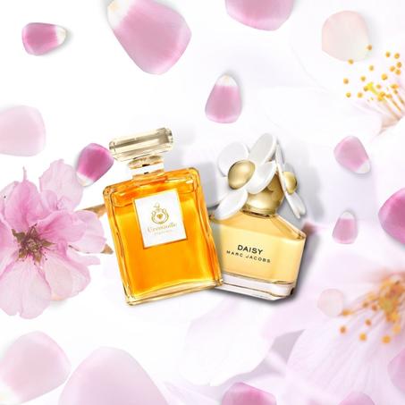 Grenouille's Daisy-inspired fragrance