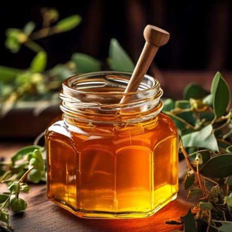 عسل أوكلبتوس