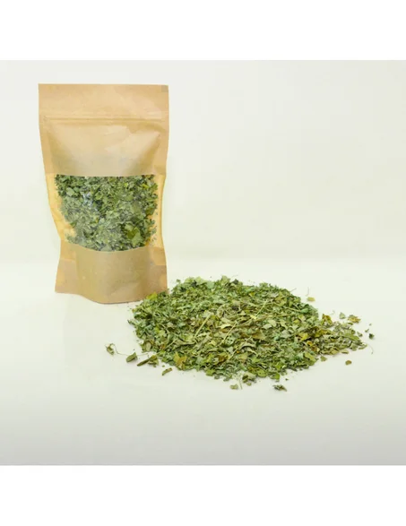 أوراق المورينجا مجففة لضغط الدم وتعديل السكري