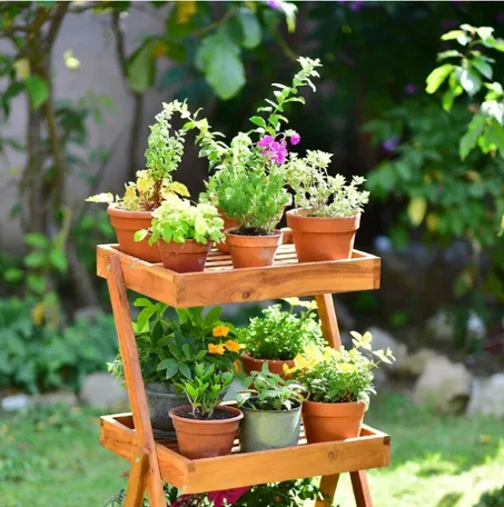 رف النباتات الخشبي