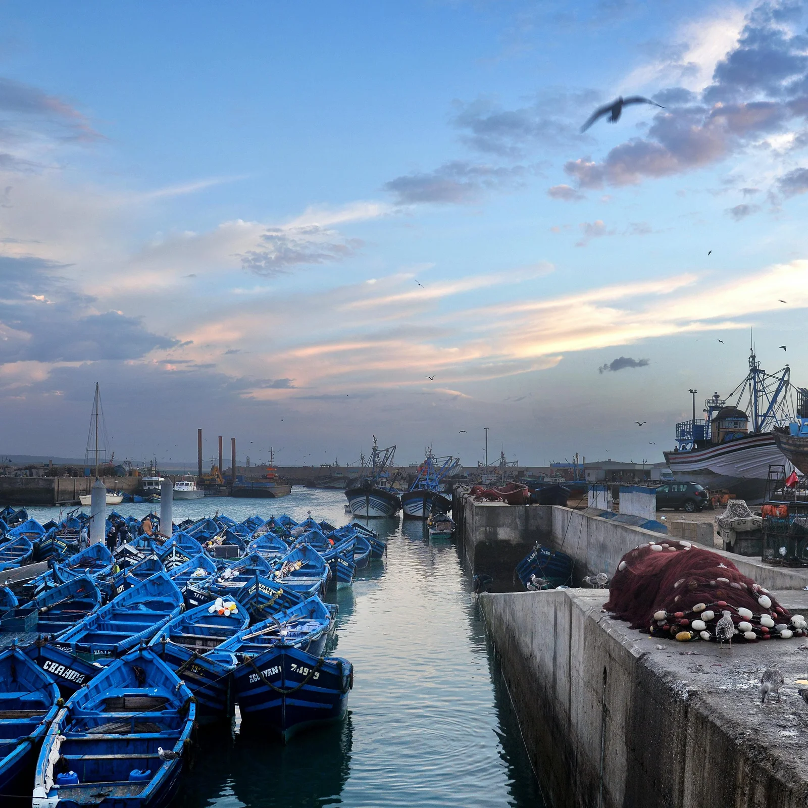 Marrakech to Essaouira Day Trip: Full-Day Coastal Excursion