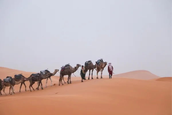 Private 3-Days Merzouga desert from Marrakech to Fes