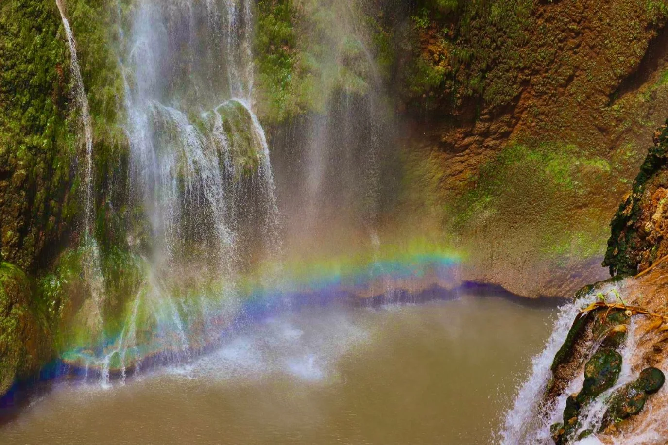 Ouzoud Waterfalls Day Trip from Marrakech – Best Full-Day Tour