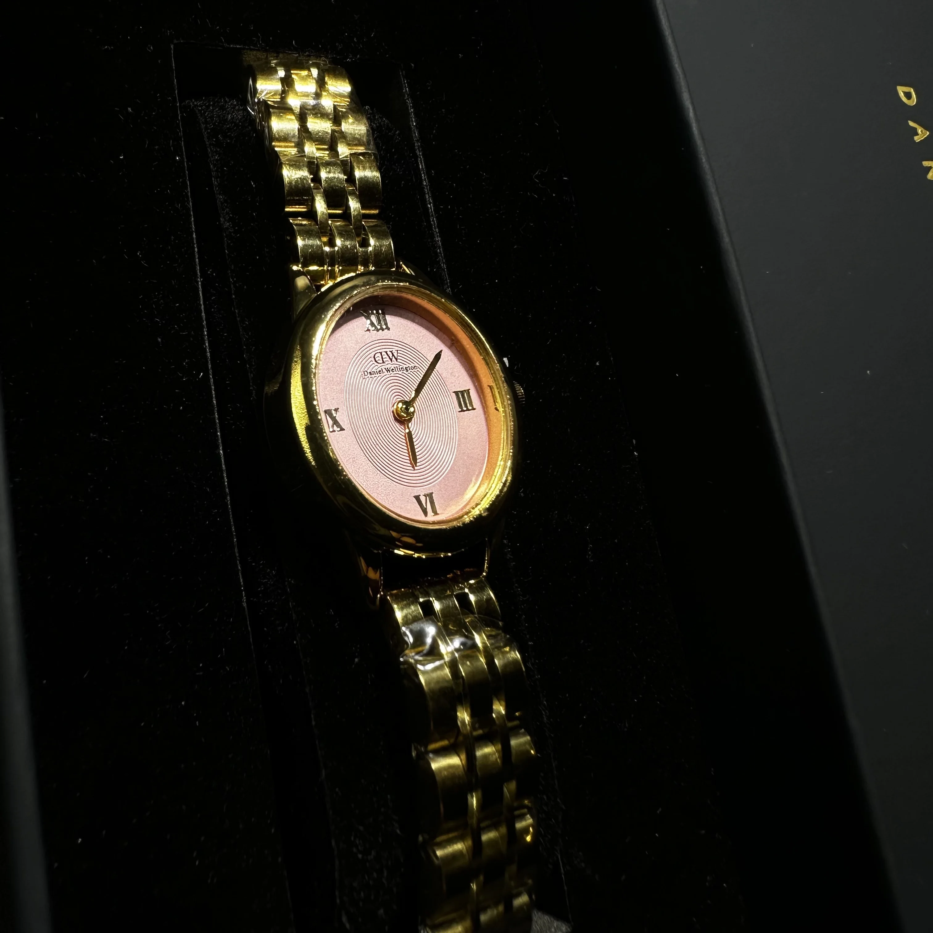 Daniel Wellington Ophelia Pink