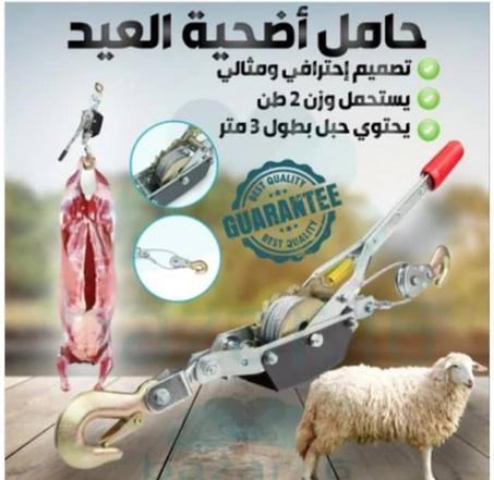 حامل اضحية العيد