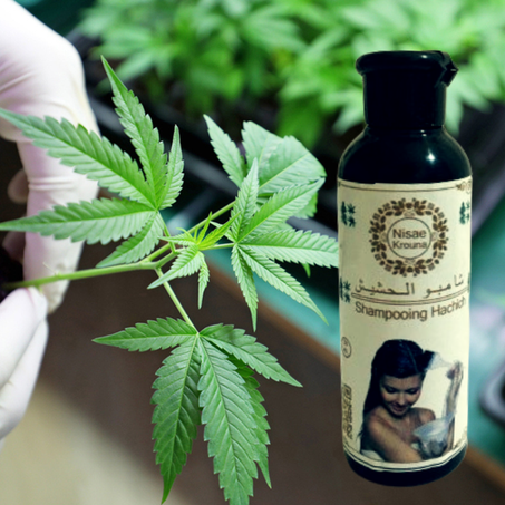 شامبو الحشيش-shampooing hachich