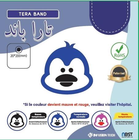 Thermomètre Autocollant