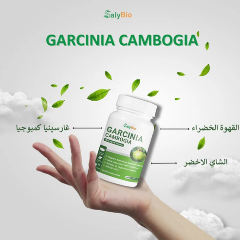 الشاي الأخضر