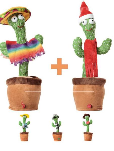 كاكتوستي باك 2 صبارات من اختيارك