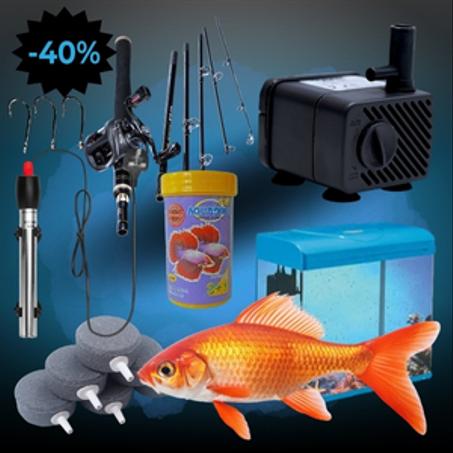 الأسماك والحيوانات المائية