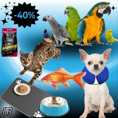 مستلزمات الحيوانات الأليفة