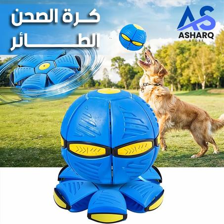 كرة الصحن الطائر