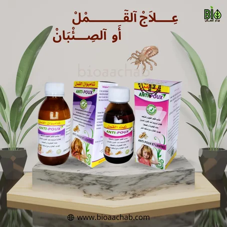 علاج آلقٓـــــمل أو  آلصــئبان ( زيت القمل و شامبوان القمل)anti poux et lentes